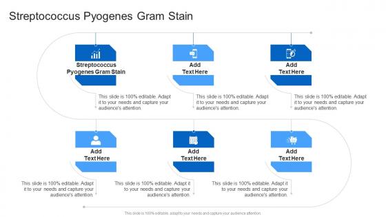Streptococcus Pyogenes Gram Stain In Powerpoint And Google Slides Cpb
