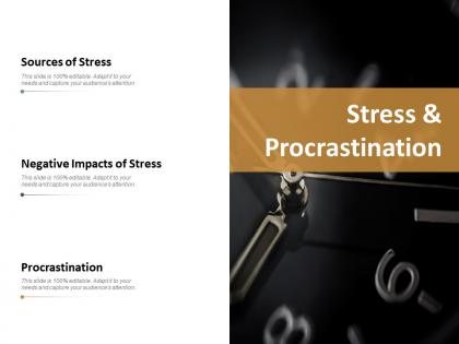 Stress and procrastination ppt slides example file
