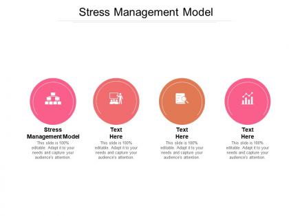 Stress management model ppt powerpoint presentation inspiration example cpb