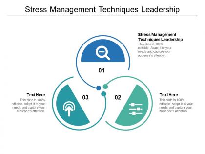 Stress management techniques leadership ppt powerpoint presentation icons cpb