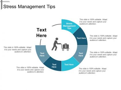 Stress management tips ppt powerpoint presentation infographics example topics cpb
