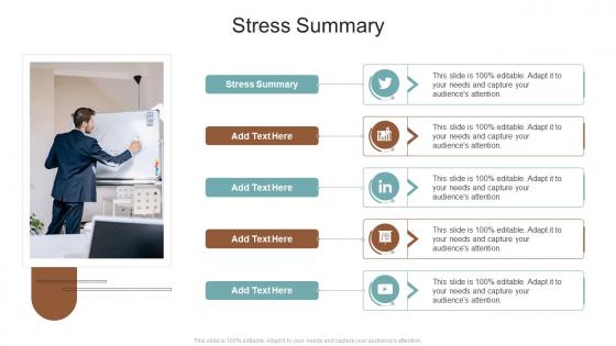 Stress Summary In Powerpoint And Google Slides Cpb