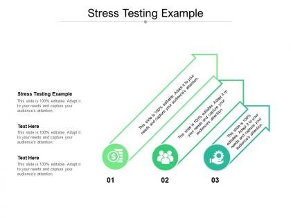 Stress testing example ppt powerpoint presentation infographics vector cpb
