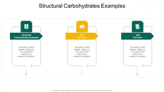 Structural Carbohydrates Examples In Powerpoint And Google Slides Cpb