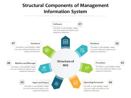 Structural components of management information system