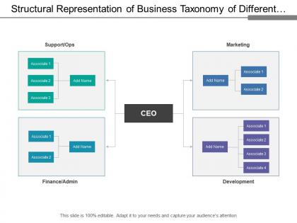 Structural representation of business taxonomy of different divisions
