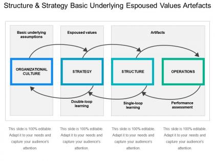 Structure and strategy basic underlying espoused values artifacts