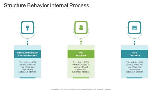 Structure Behavior Internal Process In Powerpoint And Google Slides Cpb