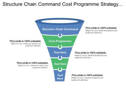 Structure chain command cost programme strategy implementation strategy implementation