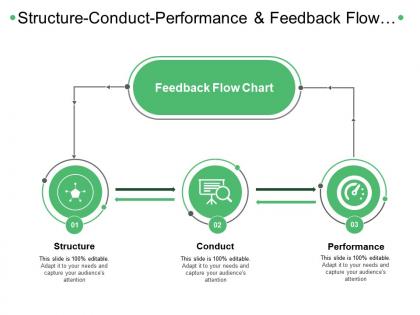Structure conduct performance and feedback flow chart
