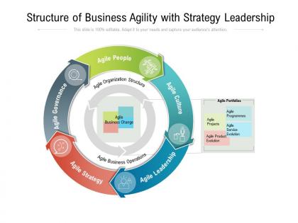 Structure of business agility with strategy leadership