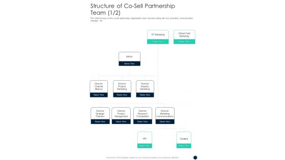 Structure Of Co Sell Partnership Team One Pager Sample Example Document