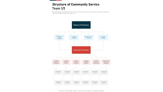 Structure Of Community Service Team One Pager Sample Example Document