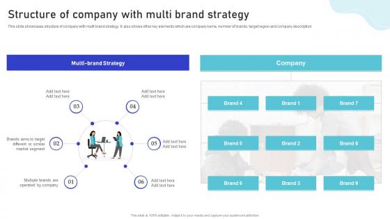 Structure Of Company With Multi Brand Multiple Brands Launch Strategy In Target