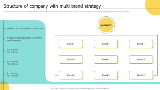 Structure Of Company With Multi Brand Strategy Brand Architecture Strategy For Multiple