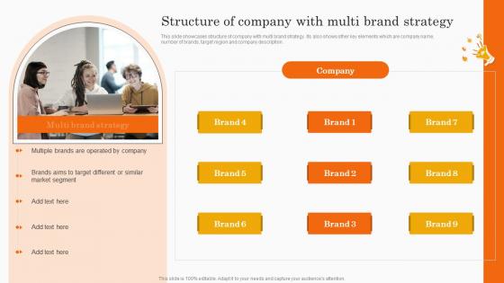 Structure Of Company With Multi Brand Strategy Co Branding Strategy For Product Awareness