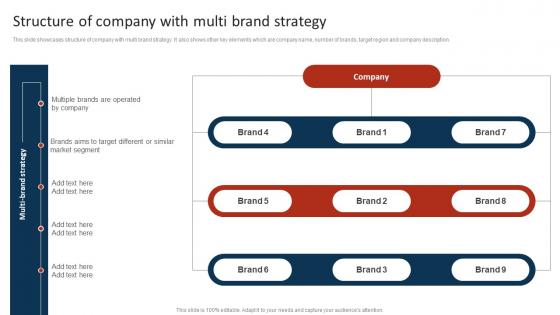 Structure Of Company With Multi Brand Strategy Marketing Strategy To Promote Multiple
