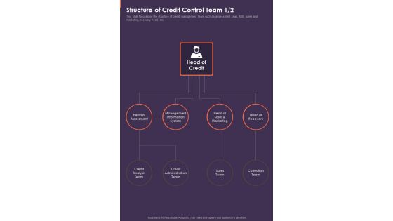 Structure Of Credit Control Team One Pager Sample Example Document