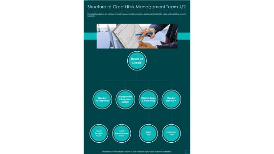 Structure Of Credit Risk Management Team One Pager Sample Example Document