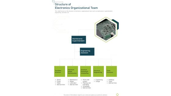 Structure Of Electronics Organizational Team One Pager Sample Example Document
