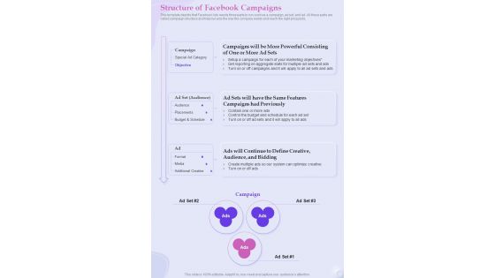 Structure Of Facebook Campaigns One Pager Sample Example Document