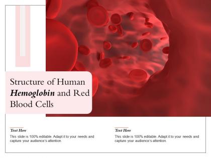 Structure of human hemoglobin and red blood cells