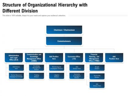 Structure of organizational hierarchy with different division