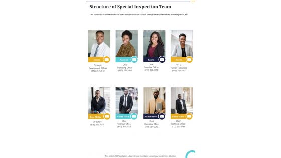 Structure Of Special Inspection Team One Pager Sample Example Document
