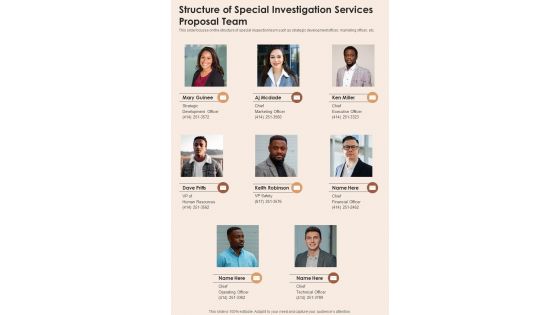 Structure Of Special Investigation Services Proposal Team One Pager Sample Example Document