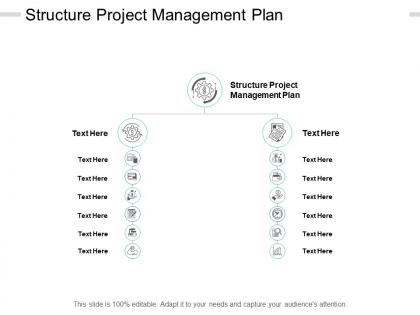 Structure project management plan ppt powerpoint presentation file formats cpb