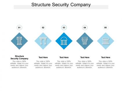 Structure security company ppt powerpoint presentation inspiration introduction cpb