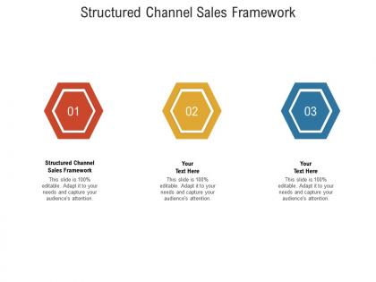 Structured channel sales framework ppt powerpoint presentation professional elements cpb