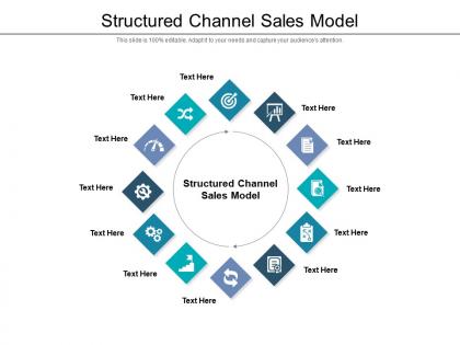 Structured channel sales model ppt powerpoint presentation professional cpb