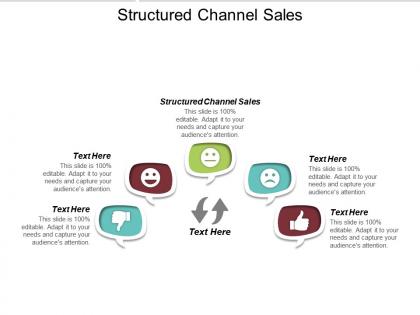 Structured channel sales ppt powerpoint presentation gallery slide portrait cpb