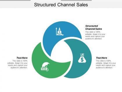 Structured channel sales ppt powerpoint presentation pictures slideshow cpb