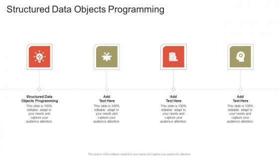 Structured Data Objects Programming In Powerpoint And Google Slides Cpb