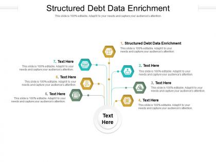 Structured debt data enrichment ppt powerpoint presentation professional portrait cpb