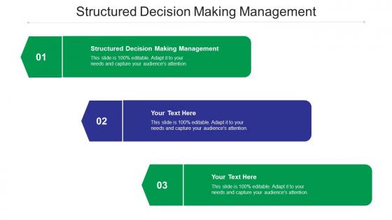 Structured decision making management ppt powerpoint presentation icon shapes cpb