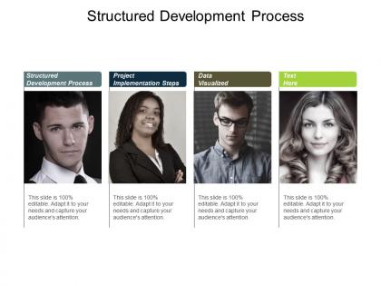 Structured development process project implementation steps data visualized cpb