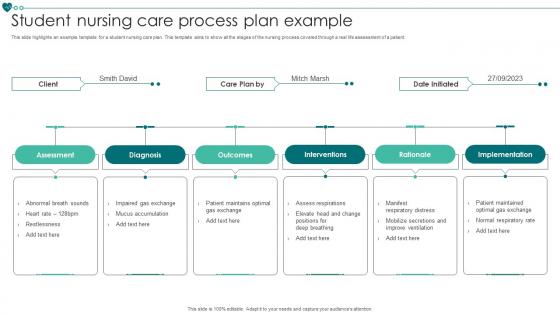 Student Nursing Care Process Plan Example
