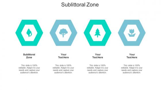 Sublittoral Zone Ppt Powerpoint Presentation Infographics Layouts Cpb
