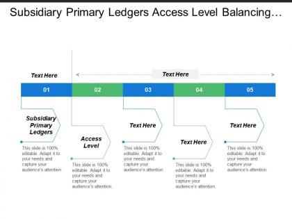 Subsidiary primary ledgers access level balancing segments value