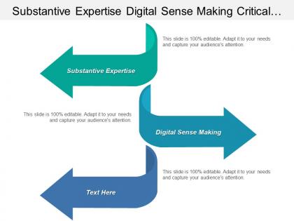 Substantive expertise digital sense making critical digital workforce