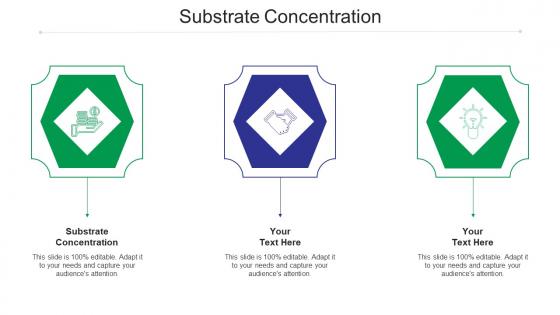 Substrate concentration ppt powerpoint presentation outline influencers cpb