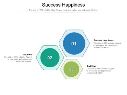 Success happiness ppt powerpoint presentation portfolio designs cpb