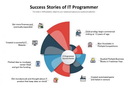 Success stories of it programmer