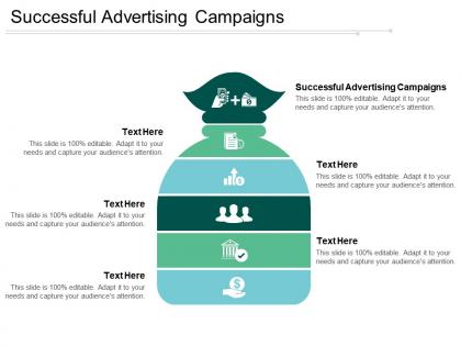 Successful advertising campaigns ppt powerpoint presentation show sample cpb