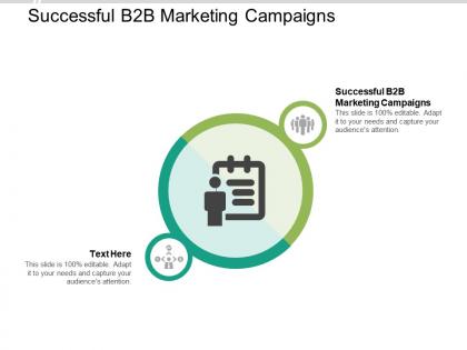 Successful b2b marketing campaigns ppt powerpoint presentation infographics clipart images cpb