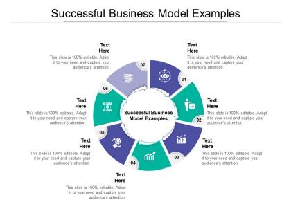 Successful business model examples ppt powerpoint presentation model cpb