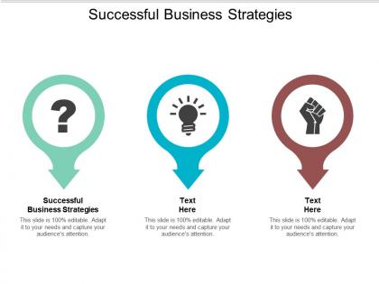 Successful business strategies ppt powerpoint presentation gallery design templates cpb